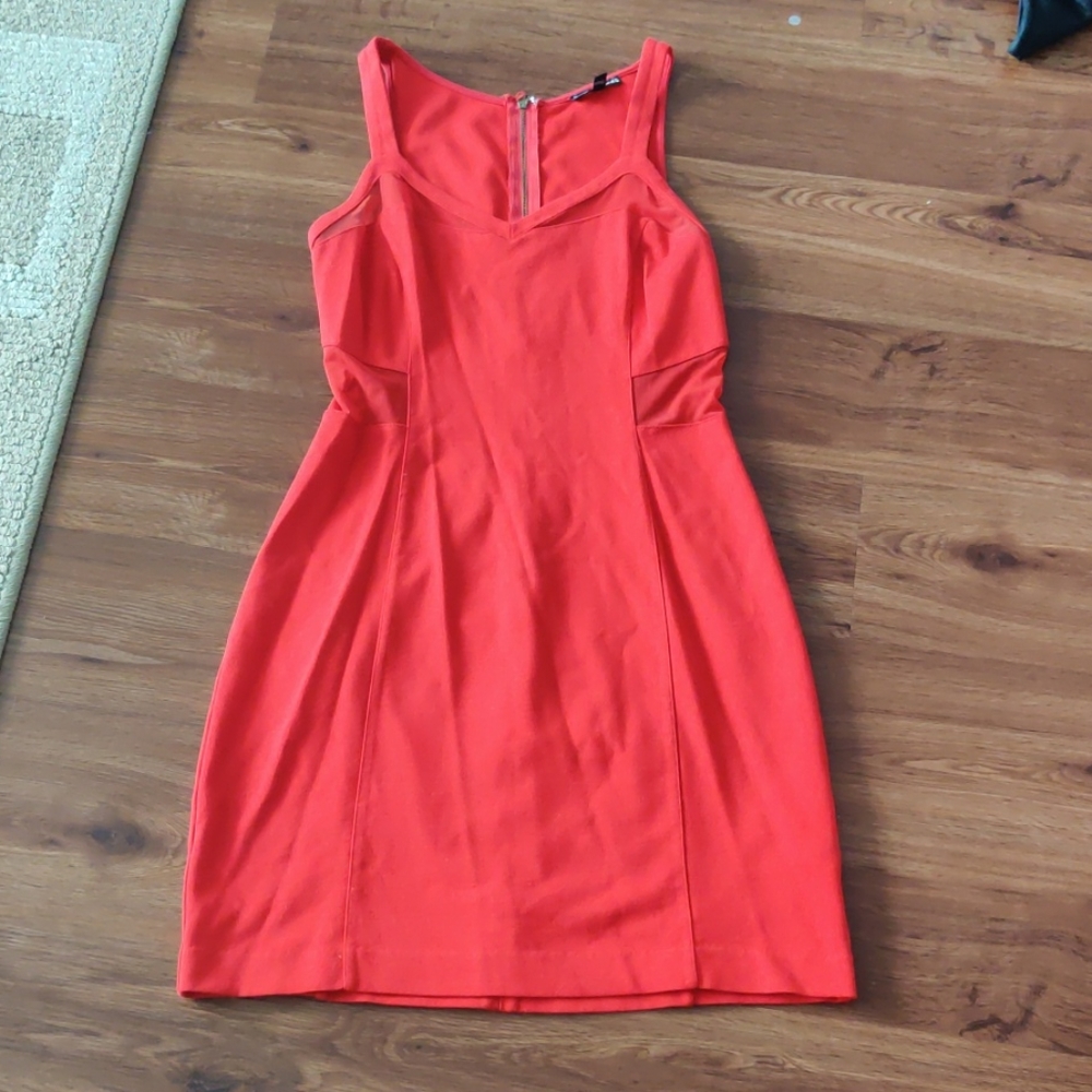 Express bodycon dress with mesh accents